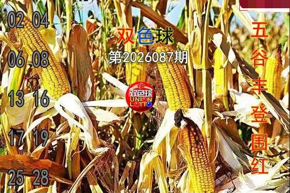 五谷丰登围红图