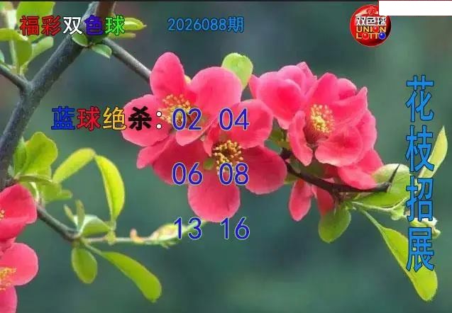 花枝招展蓝球绝杀图 