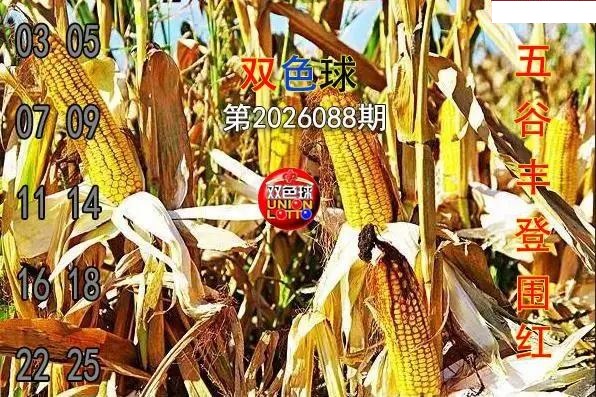 五谷丰登围红图