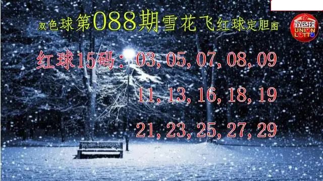 雪花飞红球图