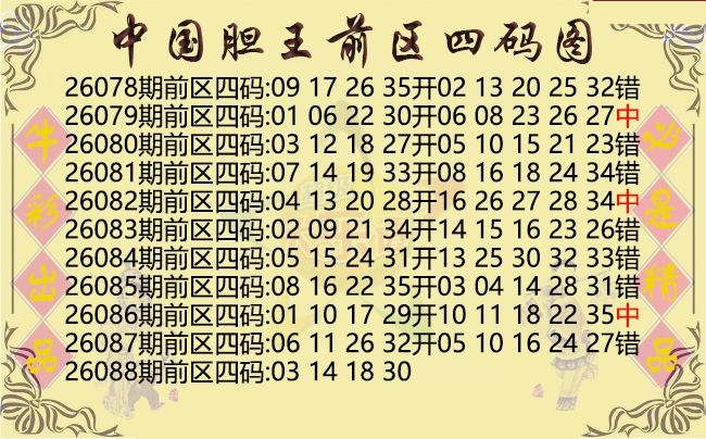 中国胆王前区四码