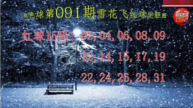 雪花飞红球图