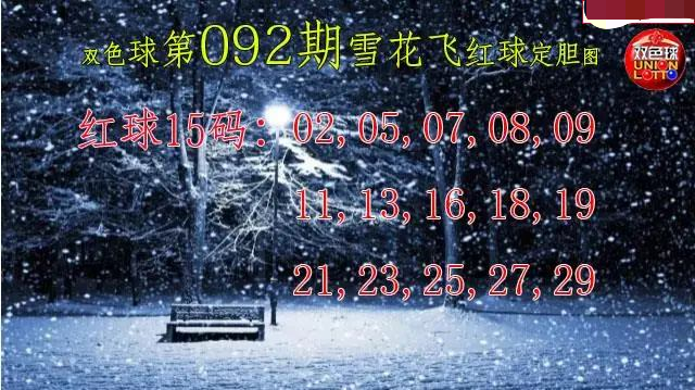 雪花飞红球图