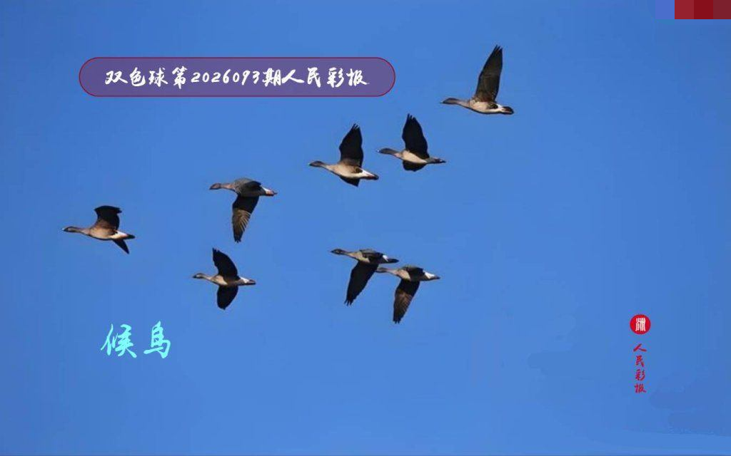 猴神人民彩报