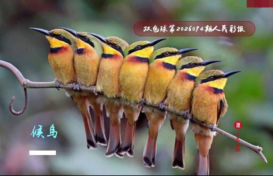 猴神人民彩报