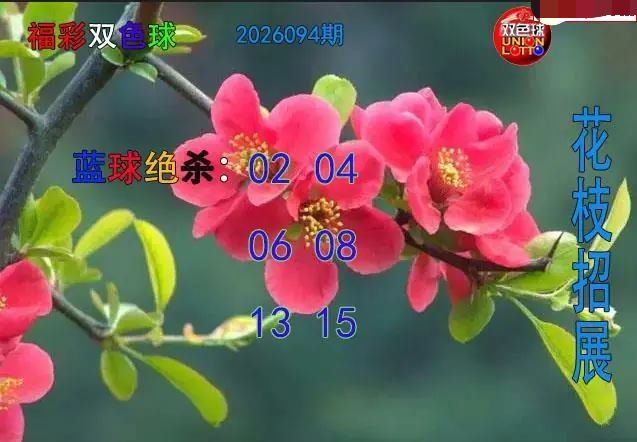 花枝招展蓝球绝杀图