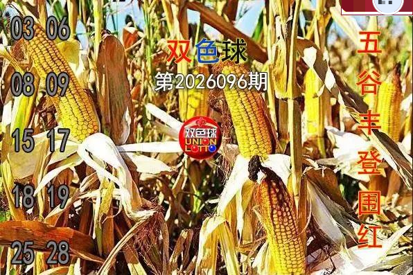 五谷丰登围红图
